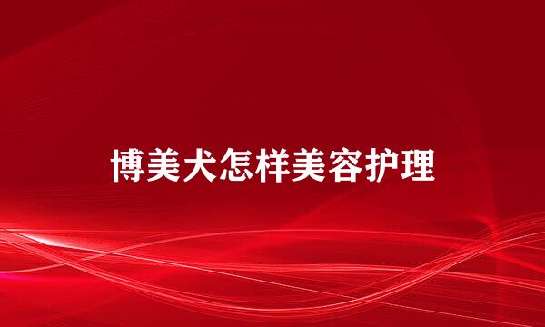 博美犬怎样美容护理