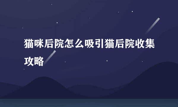 猫咪后院怎么吸引猫后院收集攻略