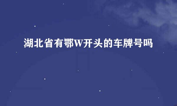 湖北省有鄂W开头的车牌号吗