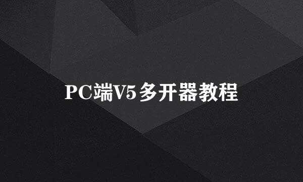 PC端V5多开器教程