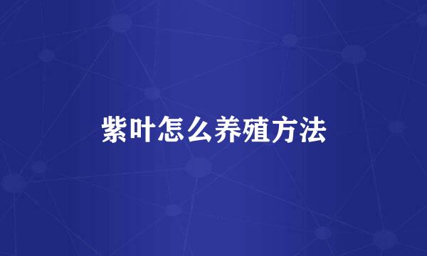紫叶怎么养殖方法