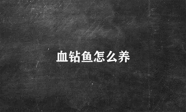 血钻鱼怎么养