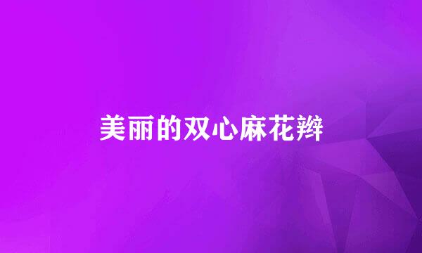 美丽的双心麻花辫