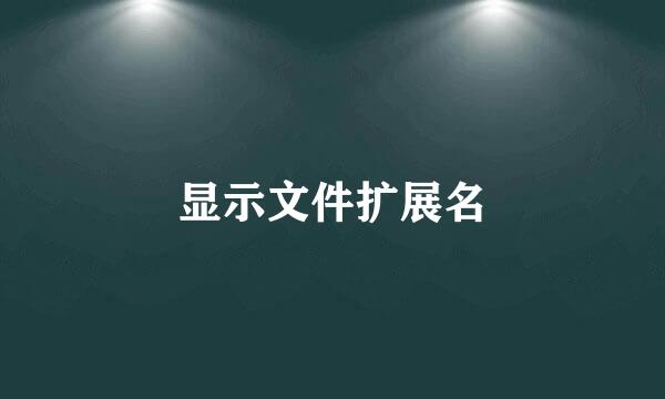 显示文件扩展名