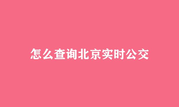 怎么查询北京实时公交
