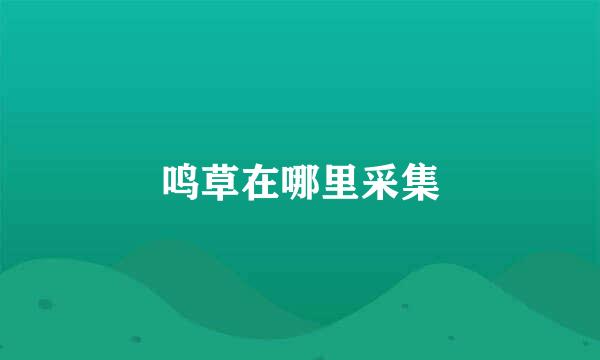 鸣草在哪里采集