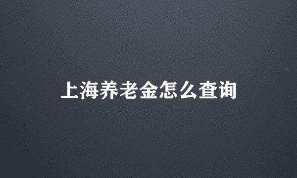 上海养老金怎么查询