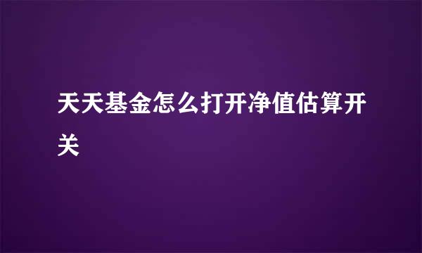 天天基金怎么打开净值估算开关