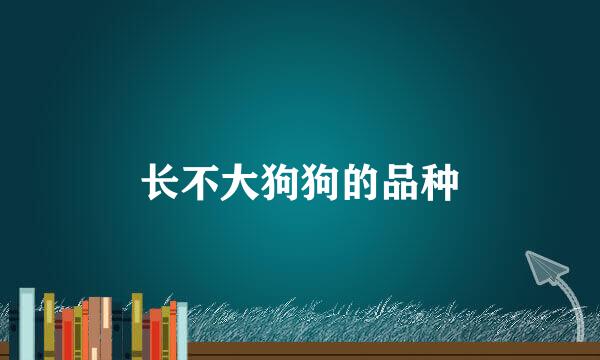 长不大狗狗的品种