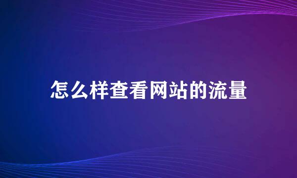 怎么样查看网站的流量