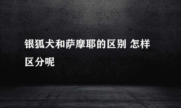 银狐犬和萨摩耶的区别 怎样区分呢