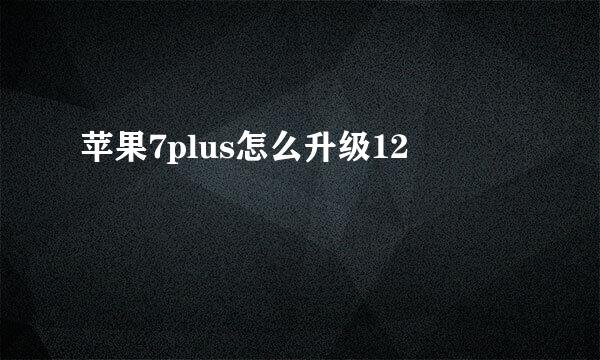苹果7plus怎么升级12