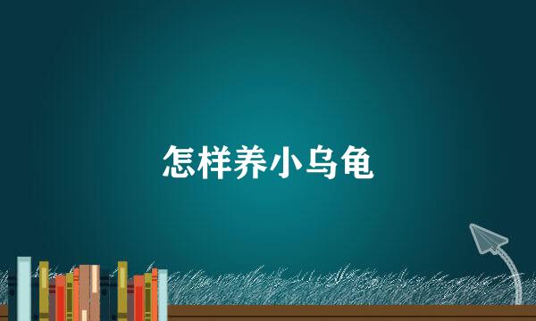 怎样养小乌龟