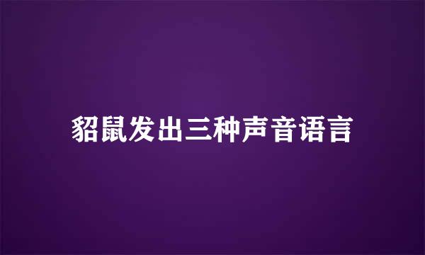 貂鼠发出三种声音语言