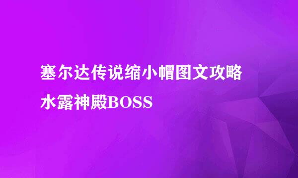 塞尔达传说缩小帽图文攻略 水露神殿BOSS