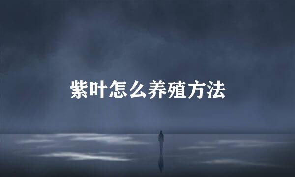 紫叶怎么养殖方法
