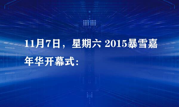 11月7日，星期六 2015暴雪嘉年华开幕式：