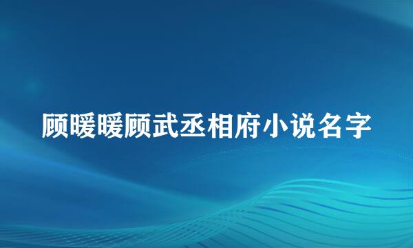顾暖暖顾武丞相府小说名字