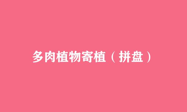 多肉植物寄植（拼盘）