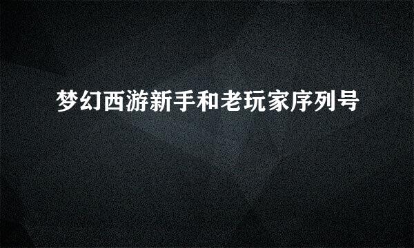 梦幻西游新手和老玩家序列号