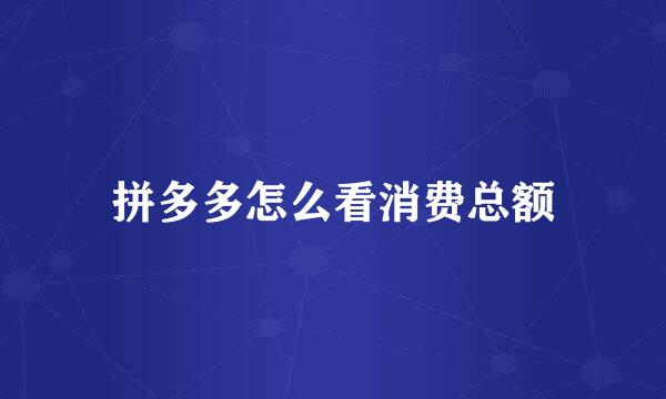 拼多多怎么看消费总额