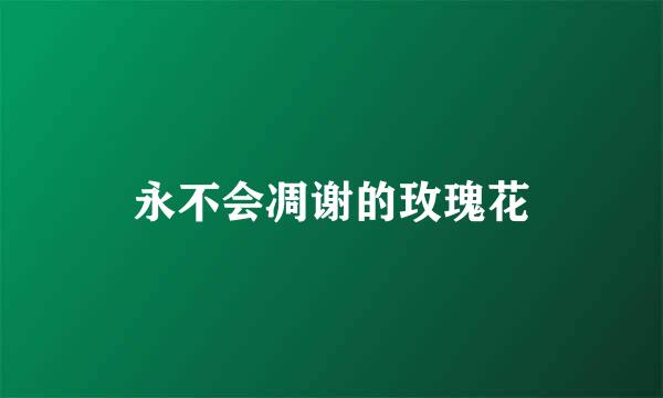 永不会凋谢的玫瑰花