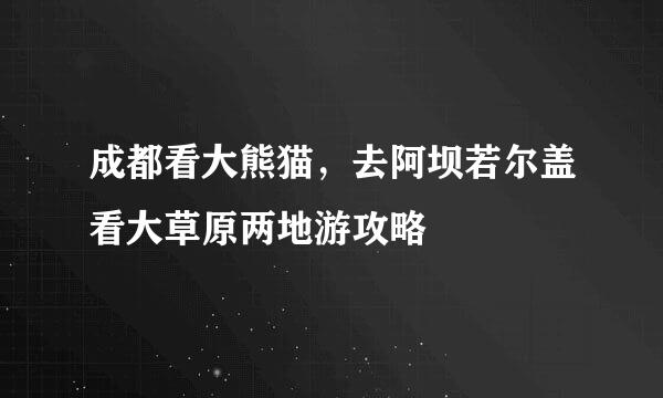 成都看大熊猫，去阿坝若尔盖看大草原两地游攻略