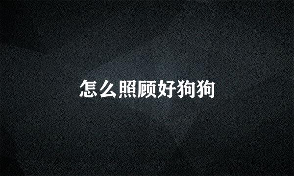 怎么照顾好狗狗