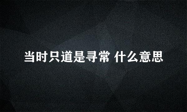 当时只道是寻常 什么意思