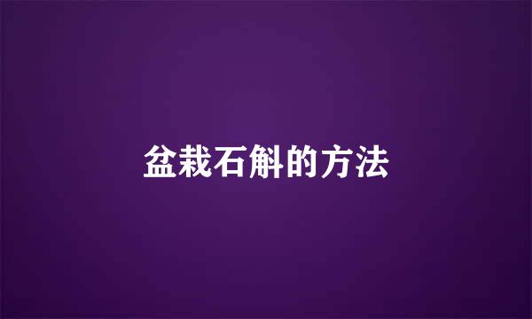 盆栽石斛的方法