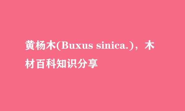 黄杨木(Buxus sinica.)，木材百科知识分享