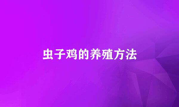 虫子鸡的养殖方法
