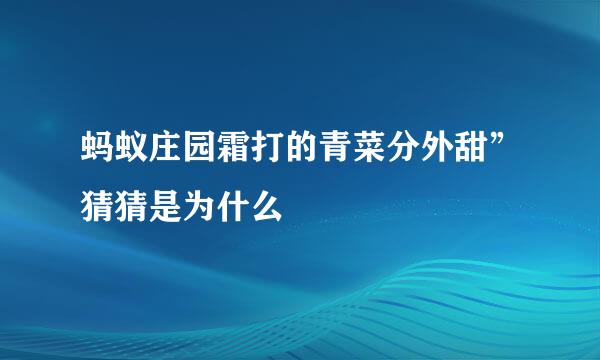 蚂蚁庄园霜打的青菜分外甜”猜猜是为什么