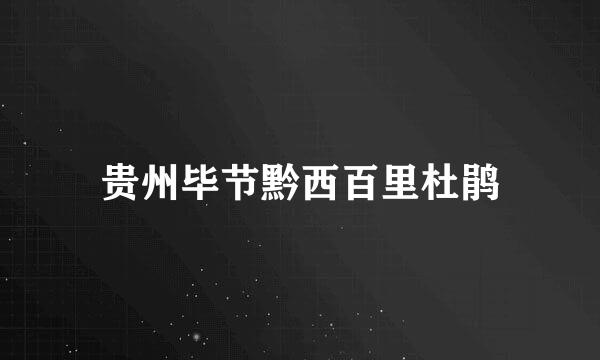 贵州毕节黔西百里杜鹃