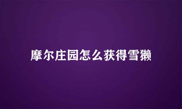 摩尔庄园怎么获得雪獭