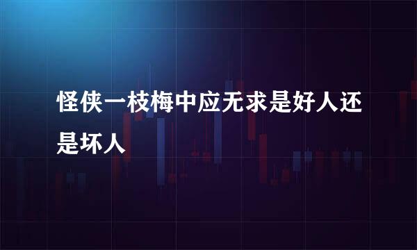 怪侠一枝梅中应无求是好人还是坏人