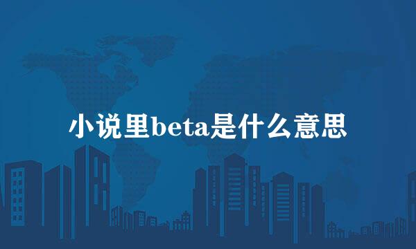 小说里beta是什么意思