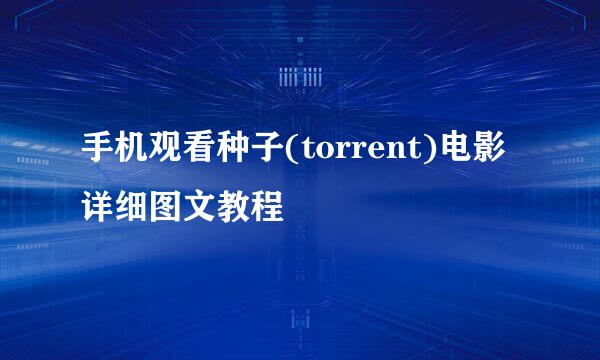 手机观看种子(torrent)电影详细图文教程