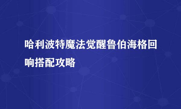 哈利波特魔法觉醒鲁伯海格回响搭配攻略