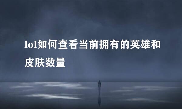 lol如何查看当前拥有的英雄和皮肤数量