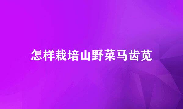 怎样栽培山野菜马齿苋