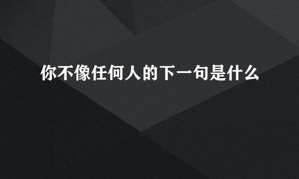 你不像任何人的下一句是什么