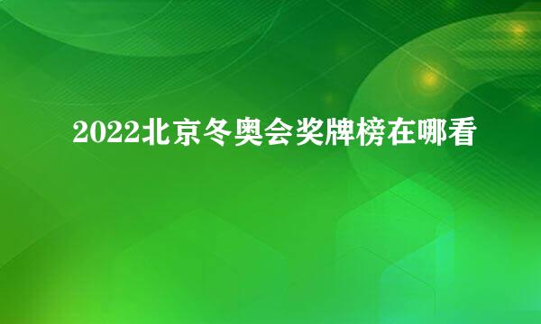 2022北京冬奥会奖牌榜在哪看
