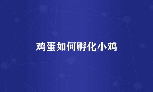 鸡蛋如何孵化小鸡