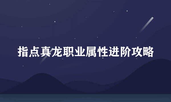 指点真龙职业属性进阶攻略