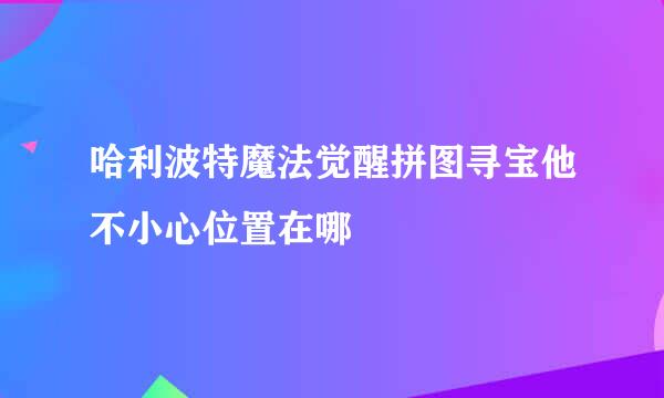 哈利波特魔法觉醒拼图寻宝他不小心位置在哪