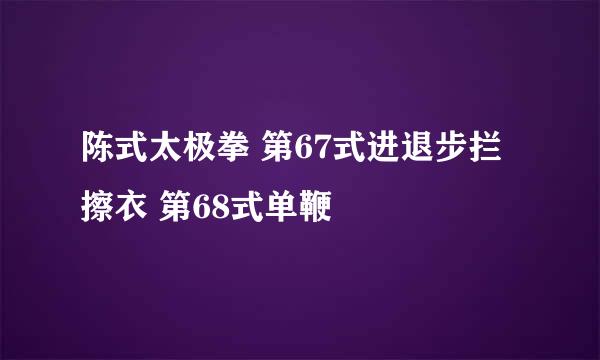 陈式太极拳 第67式进退步拦擦衣 第68式单鞭