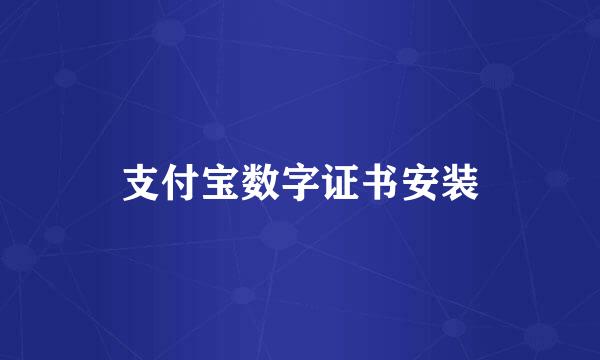 支付宝数字证书安装