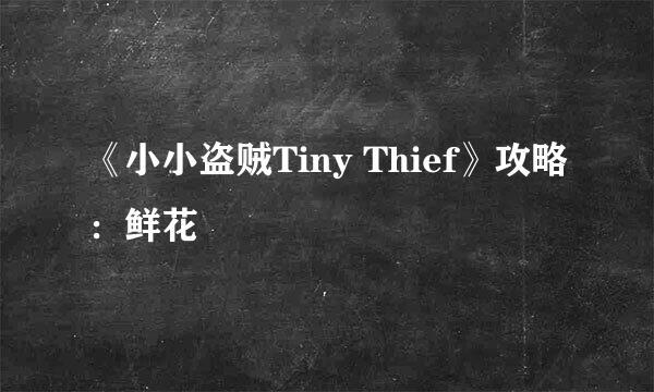 《小小盗贼Tiny Thief》攻略：鲜花