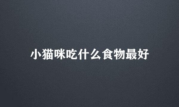 小猫咪吃什么食物最好